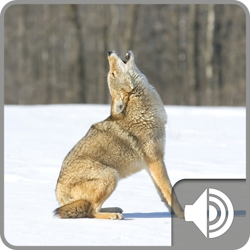 Coyote Sounds icon
