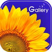 Gallery on 9Apps