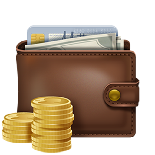 Daily Cost Tracker icon