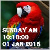 Macaw Bird Live Wallpaper icon