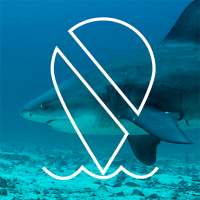 Misión Tiburón on 9Apps