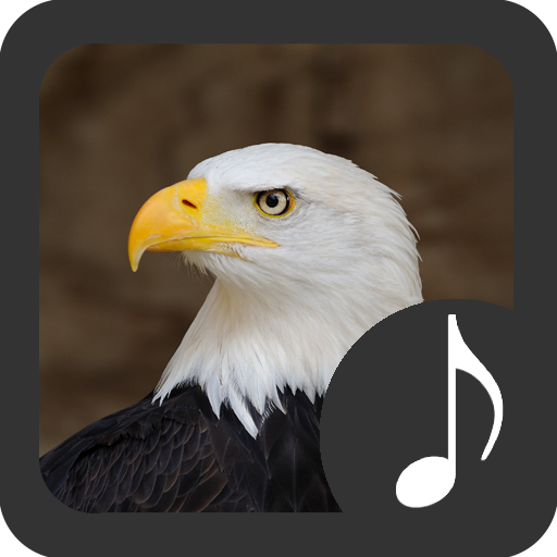 Bald Eagle Sounds أيقونة