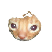 Minecraft memes sonidos en español icon