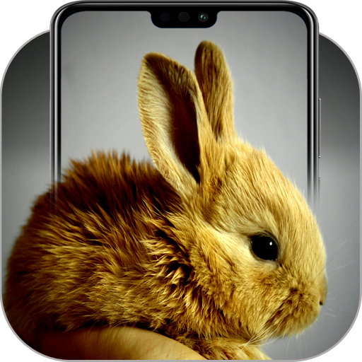 Rabbit Wallpapers icon