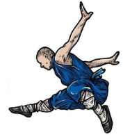 Shaolin Kung fu on 9Apps