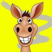 Fully Faltu on 9Apps