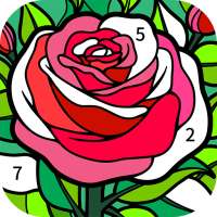 Daily Coloring Paint by Number