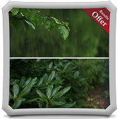 Leafy Rainfall LIVE WALLPAPER icon