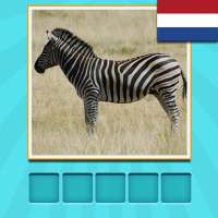 Dieren Quiz - raden en leren