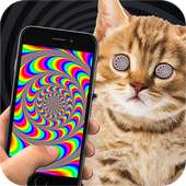 Cat Hypnosis Simulator