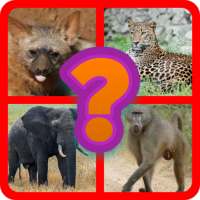 GUESS THE ANIMALS