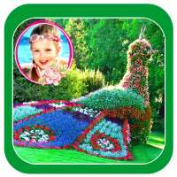 Beautiful Garden Photo Gallery on 9Apps