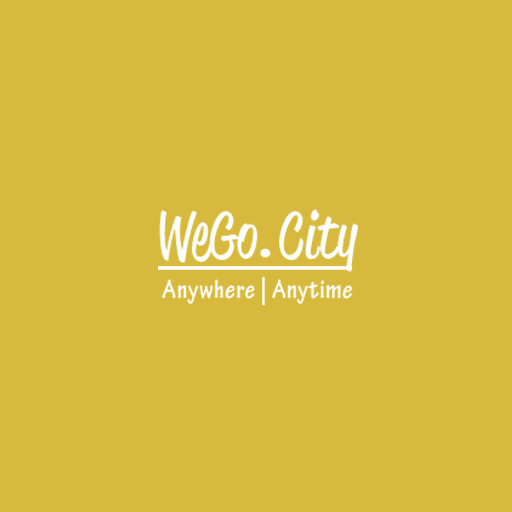 WeGo City - Driver icon