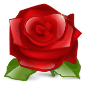 Rose 3D live wallpaper icon