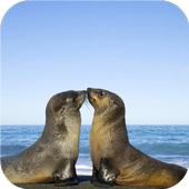 Funny animal mix icon