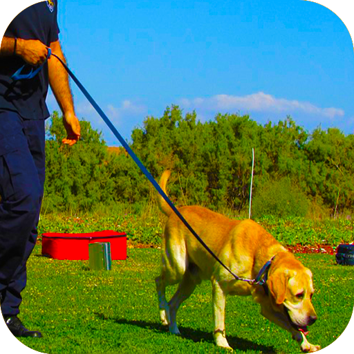 Police Dog Stunt Training icon