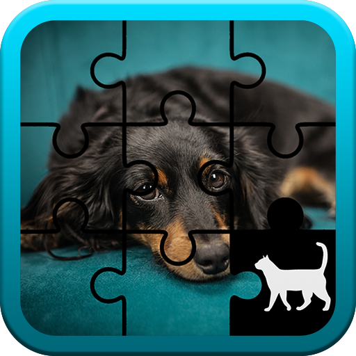 Dog Jigsaw Puzzle icon