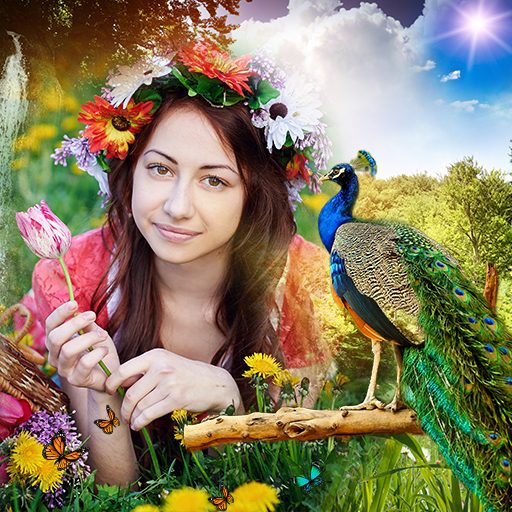 Peacock Photo Frames icon