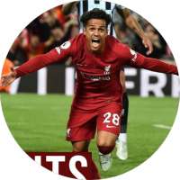 Liverpool Highlights