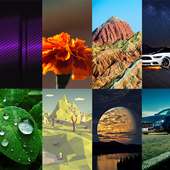 WP Wallpapers HD on 9Apps