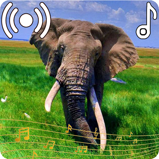 Elephant Sounds Ringtone icon
