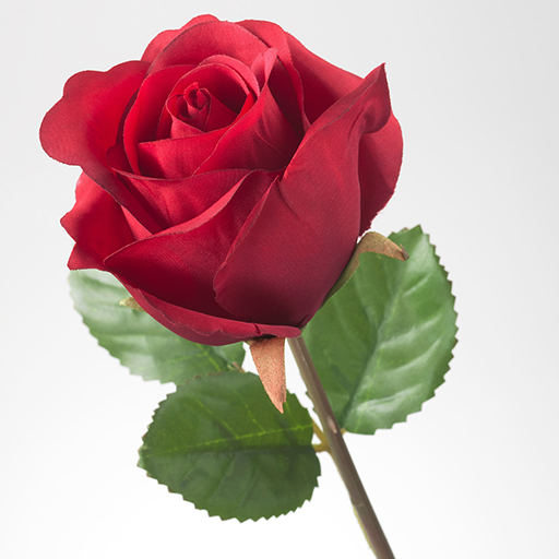 How To Draw Flowers icon