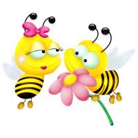 BeeTok : Bee talk and we chat, meet me date nearby