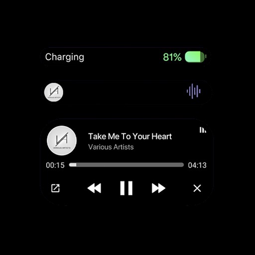 Dynamic Island Notch icon