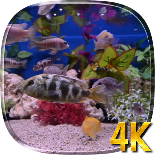 Aquarium 4K Live Wallpaper icon