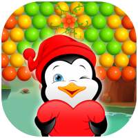 Penguin Bubble Winter