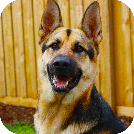 police dog criminal chase icon