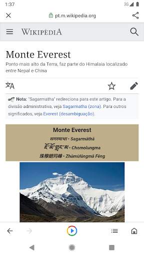 Google Go screenshot 3