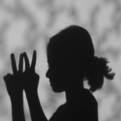 Dora Learns Multiplication icon