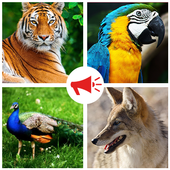 Animal Sounds icon