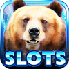 Slot Machine: Bear Slots icon