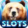 Slot Machine: Bear Slots