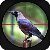 Forest Crow Hunting icon