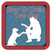 How To Train Your Dog Guide