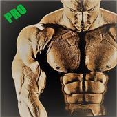 Bodybuilding Coach Pro icon