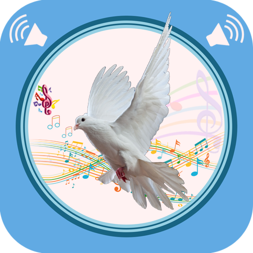Dove Sounds icon