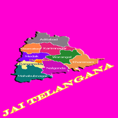 Telangana  Celebrations icon