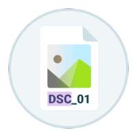 DSC Auto Rename on 9Apps