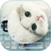 Cute Kitty Cat Live Wallpaper Theme icon
