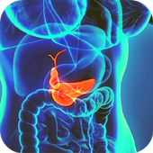abdominal ultrasound of gallbladder иконка