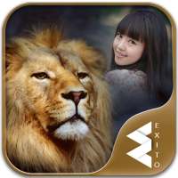 Lion Photo Frames on 9Apps