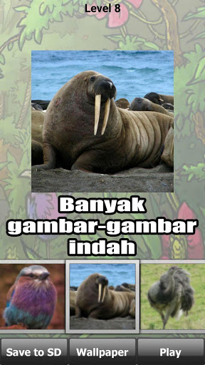 Wild haiwan teka-teki screenshot 5