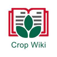 CropWiki EWS