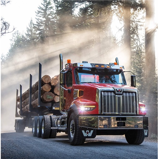 Offroad Truck Driving Simulator 2 icon