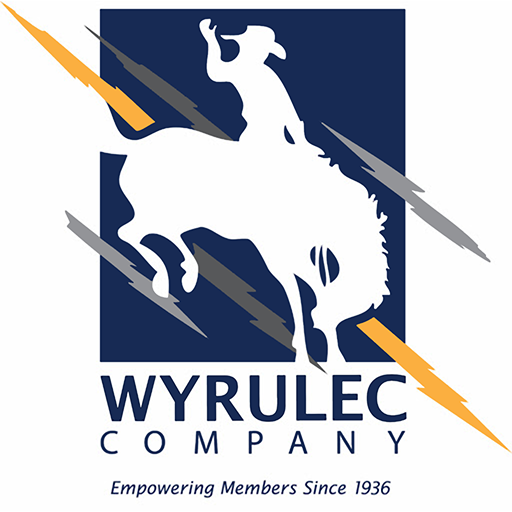 Wyrulec Company icon