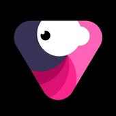 Velomingo- Velocity Edit Maker